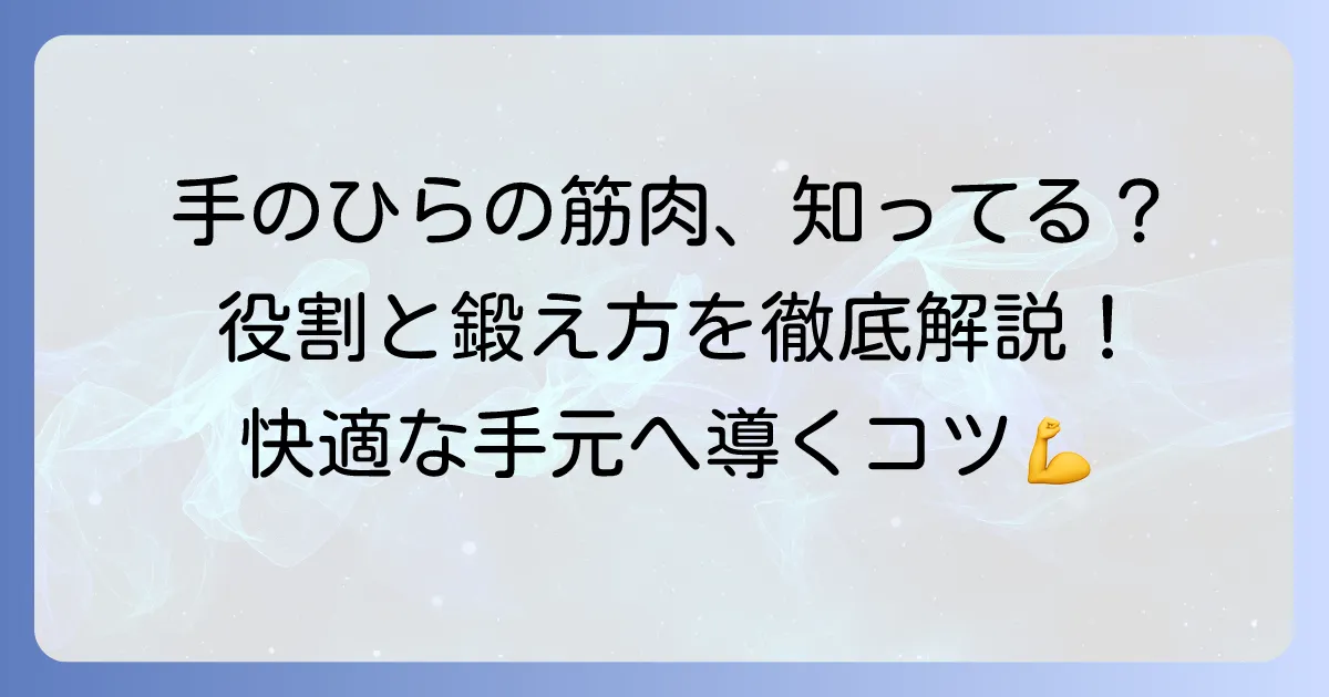手のひらの筋肉の名前と役割を徹底解説！鍛え方とケアで快適な手元へ