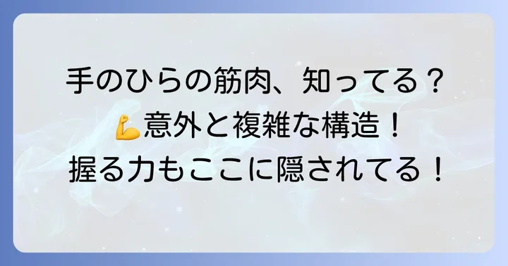 手のひらの筋肉の基本を知ろう