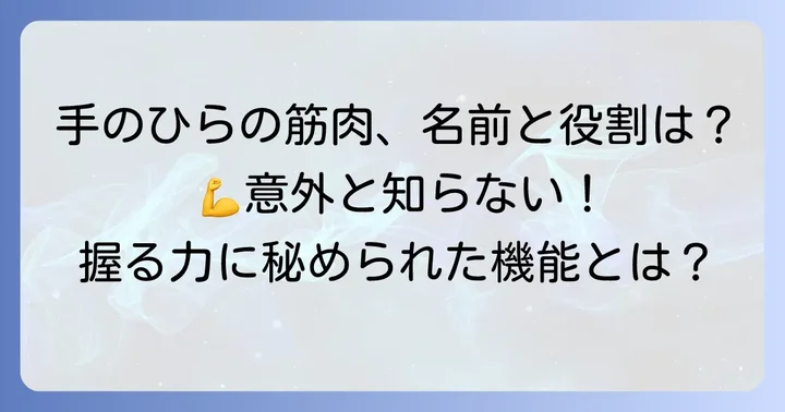 手のひらの筋肉の名前とそれぞれの働き