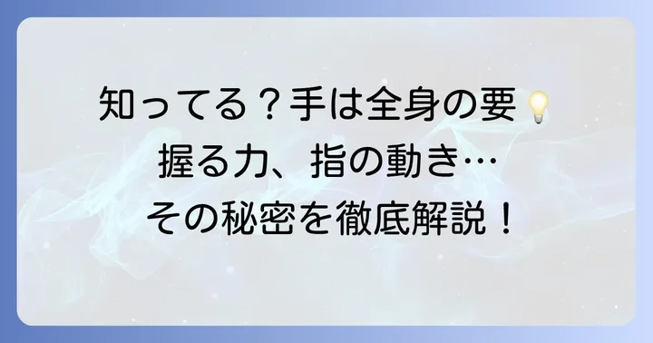 手のひらの筋肉が担う重要な役割