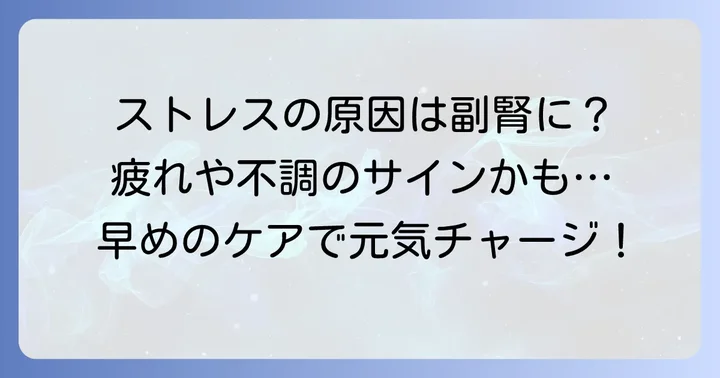 副腎の役割と疲労が体に与える影響