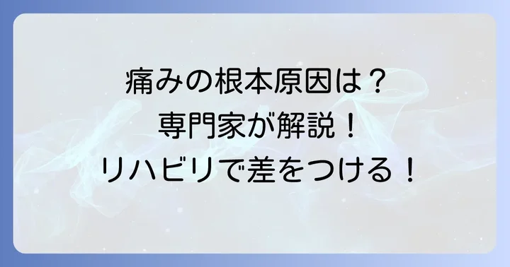 根本改善を目指す！専門家による治療とリハビリの進め方