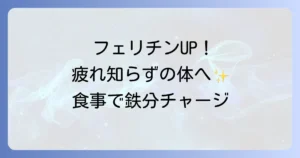 フェリチンを増やす食べ物で健康な体へ！効率的な食事のコツを徹底解説