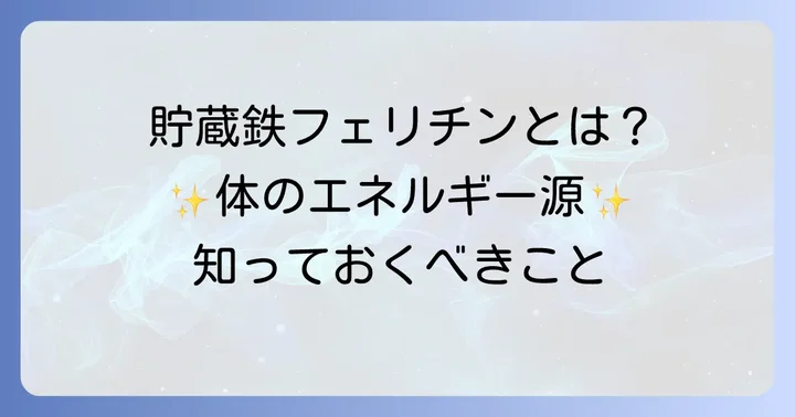 フェリチンとは？体にとって大切な貯蔵鉄の役割