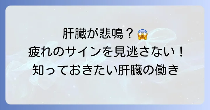 肝臓の働きと疲れのサインを知ろう