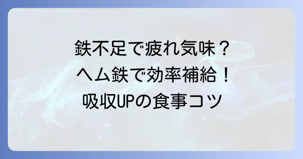 ヘム鉄を多く含む食べ物で効率的に鉄分補給！吸収率を高める食事のコツを徹底解説