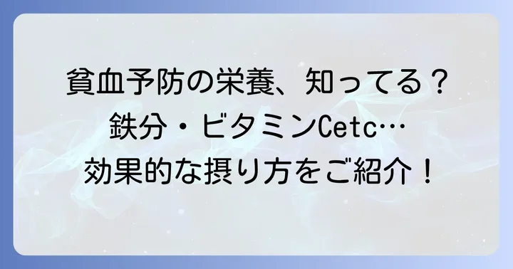 貧血防止に欠かせない！主要な栄養素とその働き