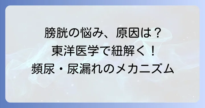 膀胱の不調はなぜ起こる？その原因と東洋医学の考え方