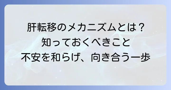 乳癌の肝転移とは？そのメカニズムと現状