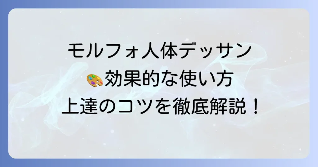 モルフォ人体デッサン【使い方】徹底解説！効果的な学習方法と上達のコツ