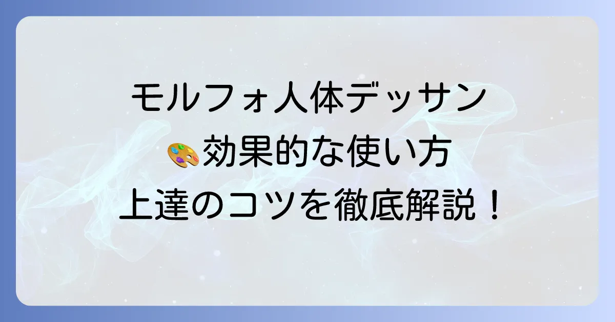 モルフォ人体デッサン【使い方】徹底解説！効果的な学習方法と上達のコツ