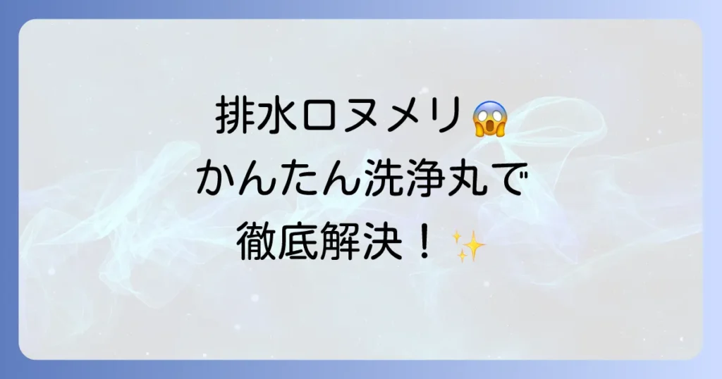 かんたん洗浄丸の使い方を徹底解説！家中の排水口を清潔にする方法と注意点