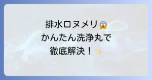 かんたん洗浄丸の使い方を徹底解説！家中の排水口を清潔にする方法と注意点
