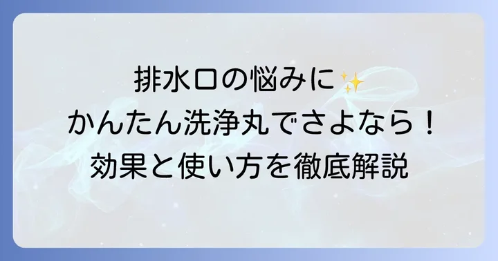 かんたん洗浄丸とは？その魅力と効果