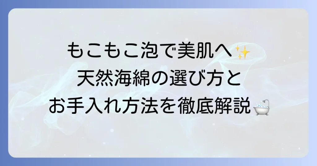 海綿の使い方を徹底解説！肌に優しい天然スポンジの選び方と長持ちさせるお手入れ方法