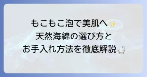 海綿の使い方を徹底解説！肌に優しい天然スポンジの選び方と長持ちさせるお手入れ方法