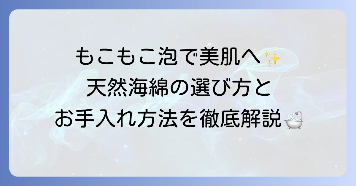 海綿の使い方を徹底解説！肌に優しい天然スポンジの選び方と長持ちさせるお手入れ方法