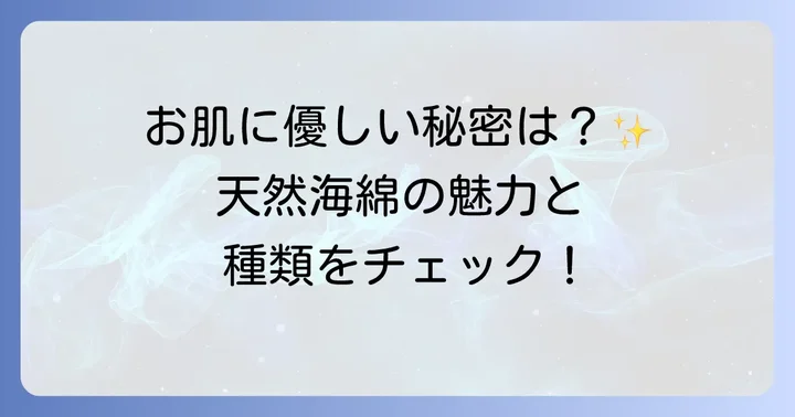 天然海綿とは？その魅力と種類を知ろう