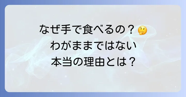 発達障害のお子さんが手で食べる背景にある理由