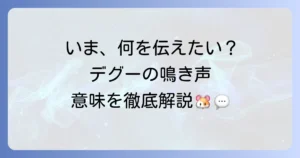 デグーの鳴き声が伝える気持ちとは？種類と状況別の意味を徹底解説