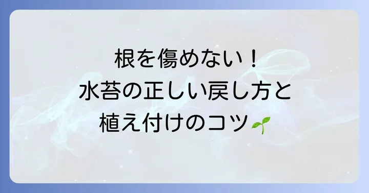 水苔の準備から植え付けまで！基本的な使い方