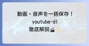 youtube-dlの使い方を徹底解説！動画ダウンロードの基本から応用まで