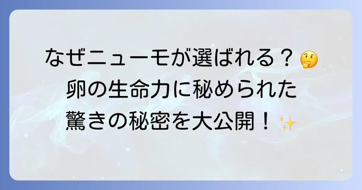 ニューモ育毛剤とは？その特徴と期待できること
