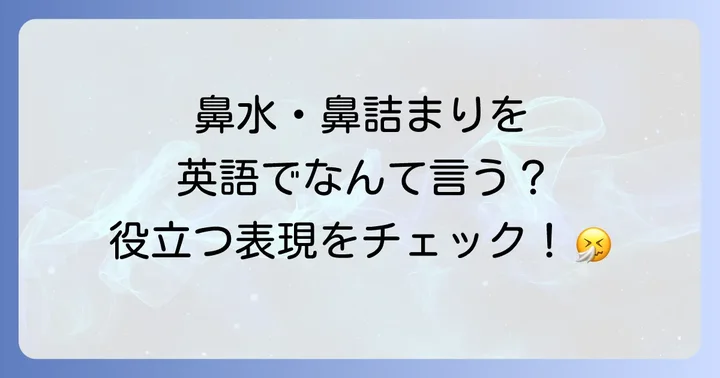鼻水や鼻詰まりなど関連する英語表現を知ろう