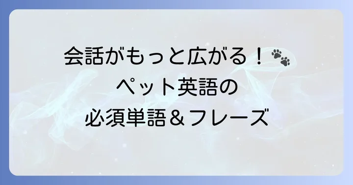 ペットに関する英語の重要単語とフレーズ