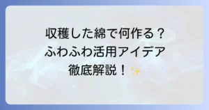 収穫した綿の使い方を徹底解説！手作り品から日常活用まで