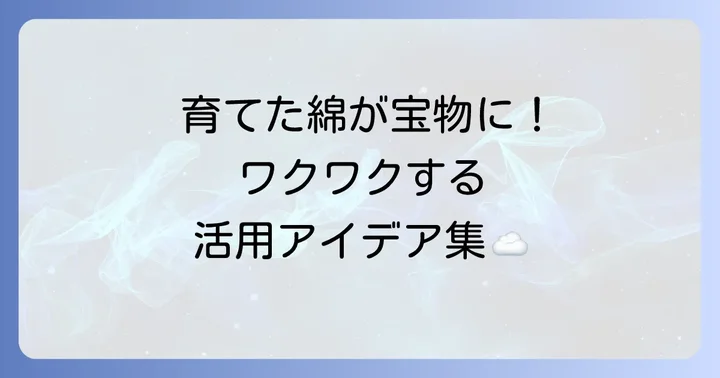 収穫した綿で広がる手作りアイデア