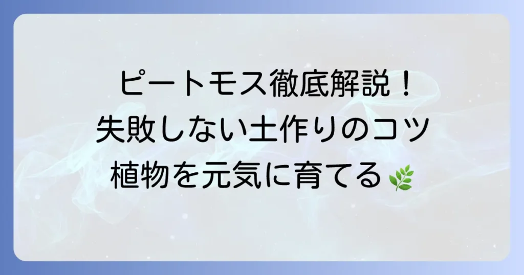 ピートモスの使い方徹底解説！効果的な活用法と注意点