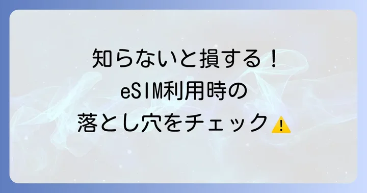 eSIM利用時の注意点