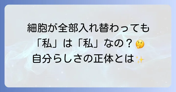 テセウスの船が問いかける自己同一性の哲学