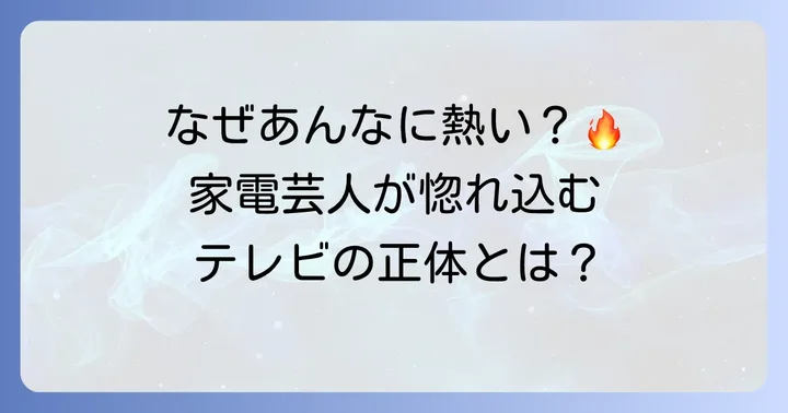 家電芸人おすすめテレビの魅力と注目される理由