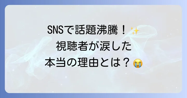 「テッパチ！」が視聴者に与えた影響と反響