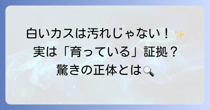白いカス（湯垢）は大丈夫？鉄やかんの湯垢との付き合い方