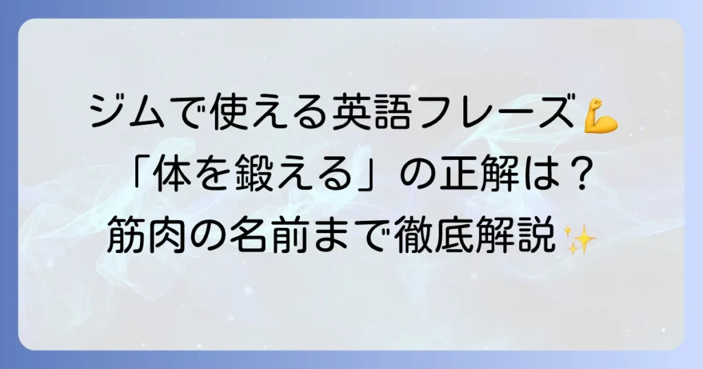 体を鍛える英語表現を徹底解説！ジムで役立つフレーズと筋肉名の英語名