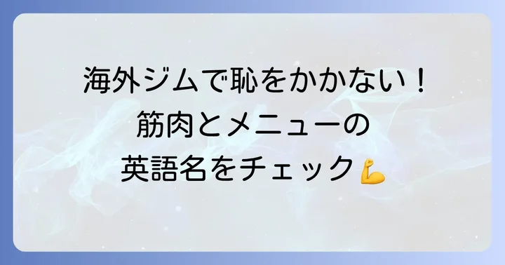 筋トレメニューと筋肉の英語名