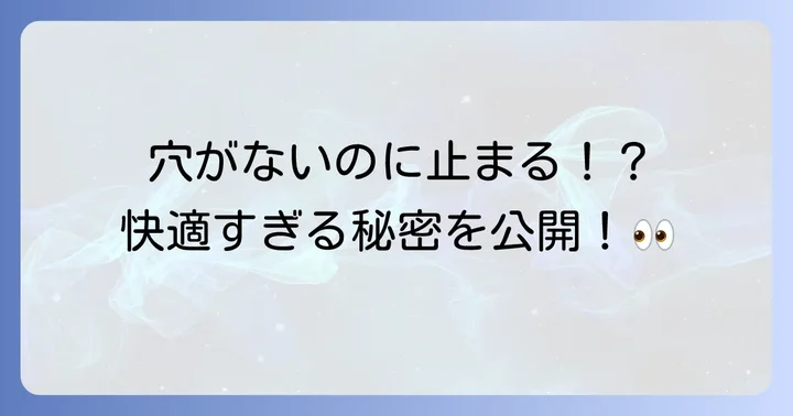 穴無しベルトとは？その魅力と基本を知る