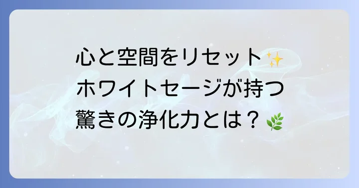 ホワイトセージとは？その魅力と浄化の力