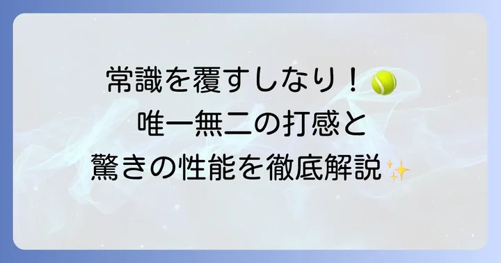 ウィルソンクラッシュの独特な魅力と基本性能