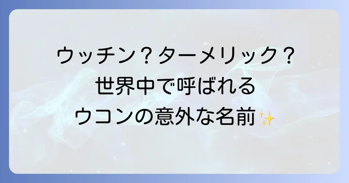 ウコンの別名と関連する表現