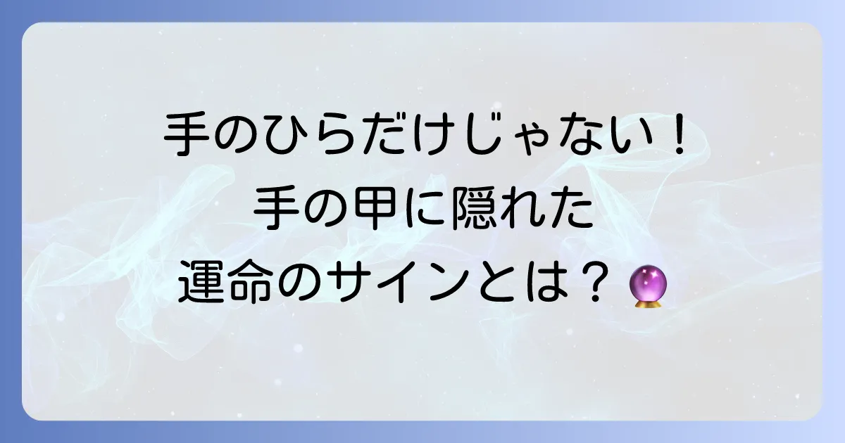 手の甲の手相の真実とは？隠された意味と運勢の読み方を徹底解説