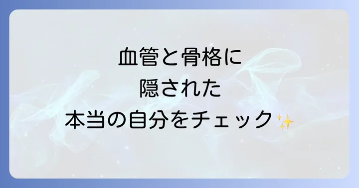 手の甲の血管や骨格からわかるあなたの本質
