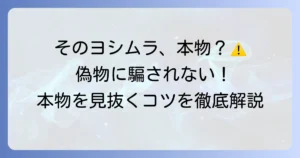 ヨシムラ当時物の見分け方を徹底解説！本物を見抜くコツと偽物対策