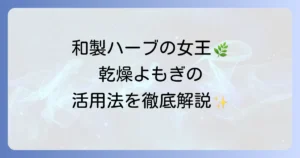 乾燥よもぎの使い方を徹底解説！健康と美容に役立つ活用法