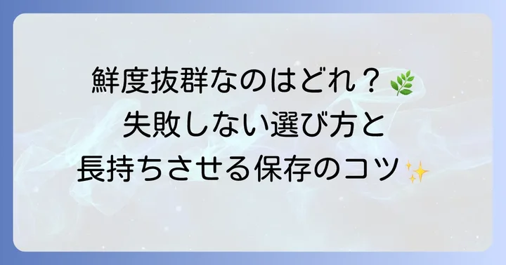 乾燥よもぎを選ぶコツと長持ちさせる保存方法