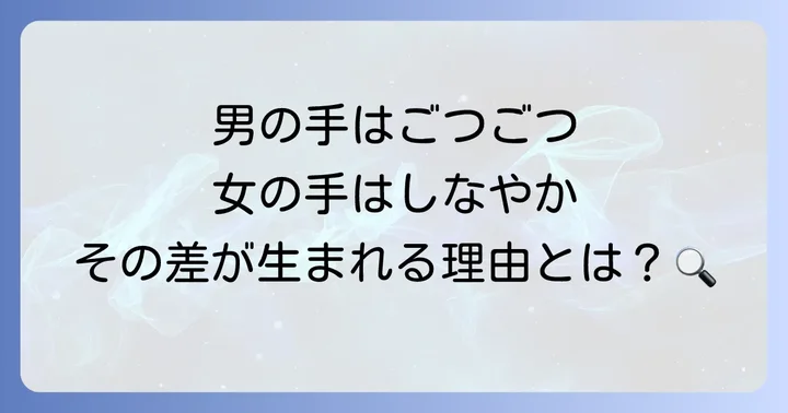 手の骨格と質感の男女差：ごつごつ感としなやかさ