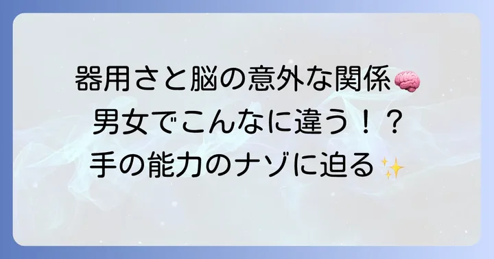 手の機能と役割の男女差：器用さと脳の働き